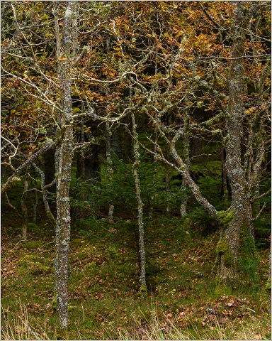 810 8586-015-20191023