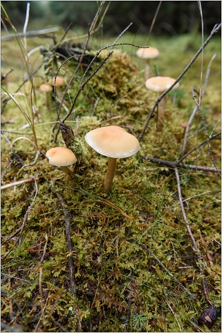 810 8628-016-20191023