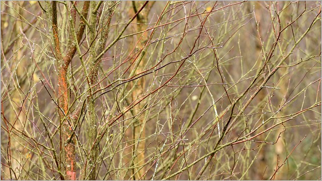 810 8668-019-20191024