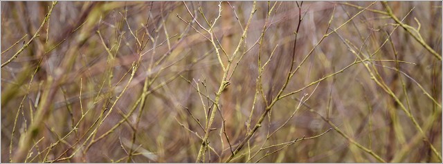 810 8669-020-20191024