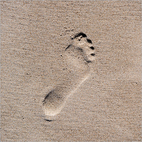 810 7694-001-20190628