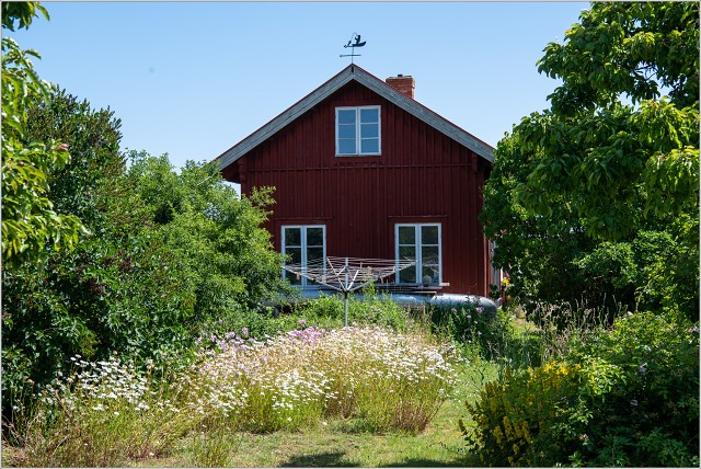 810 7781-004-20190629