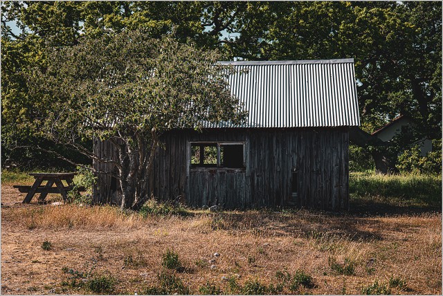 810 7841-007-20190630