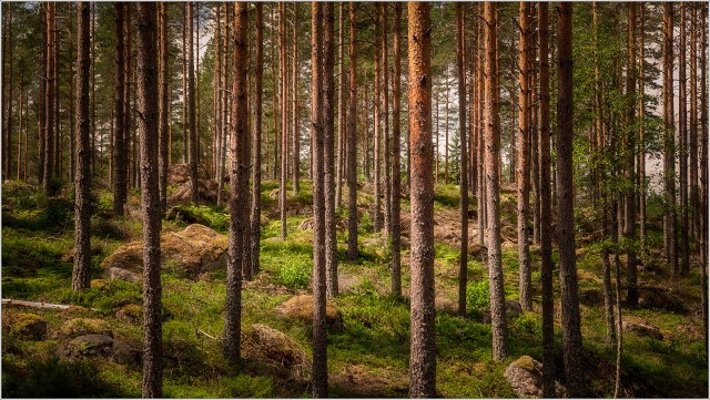 810 7958-Edit-170-012-20190701