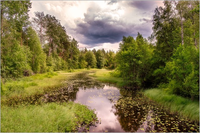 810 7980-Edit-168-003-20190701