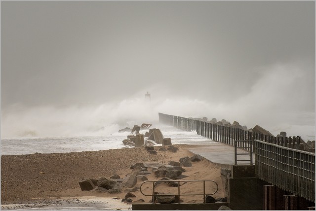  8109208-001-20200209