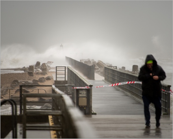  8109225-003-20200209