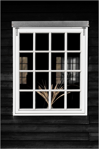  8100637-016-20210914