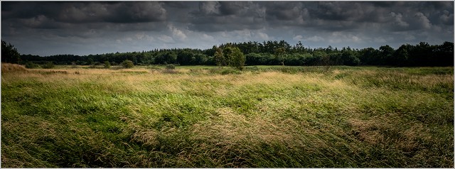  XT35336-003-20210809