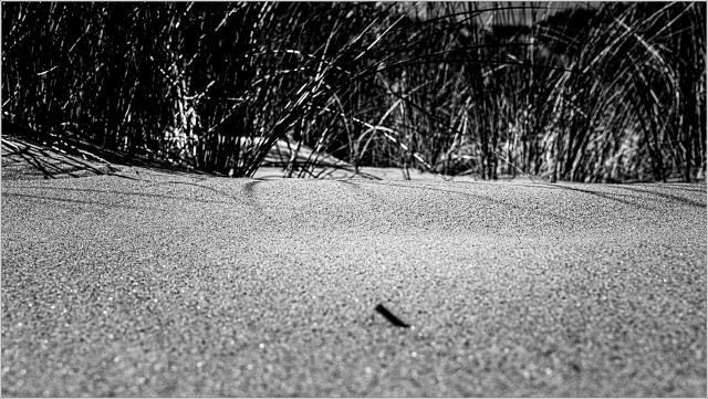  XT35829-015-20210914