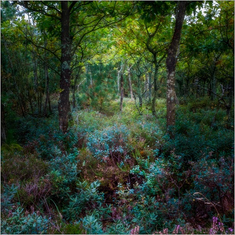  XT35909-Edit-021-20210916