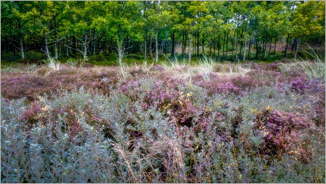  XT35919-Edit-022-20210916