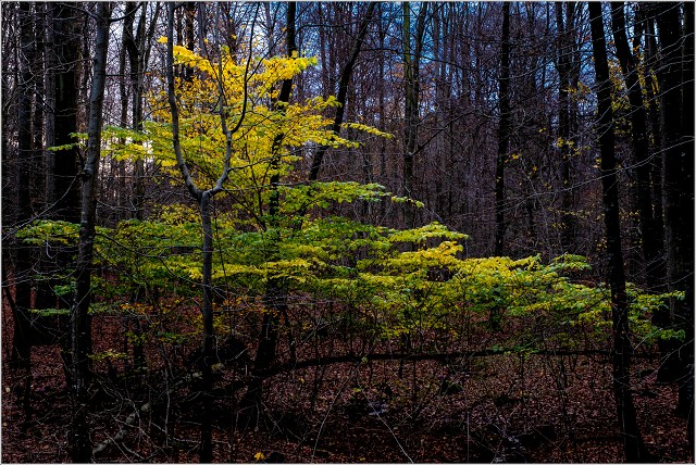  XT36012-Edit-026-20211121