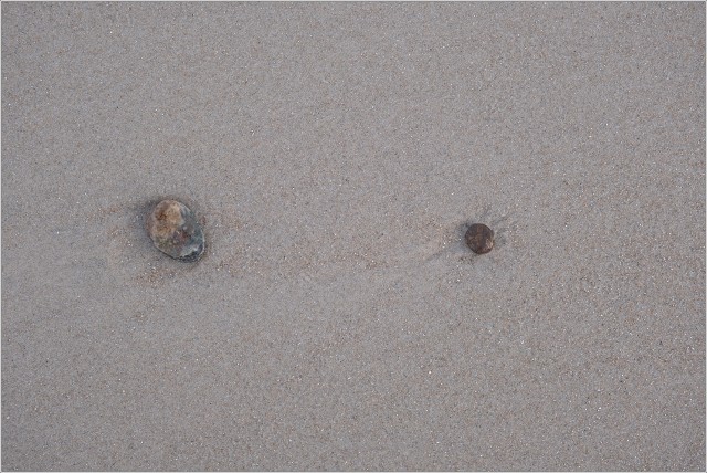  XT36315-030-20211126