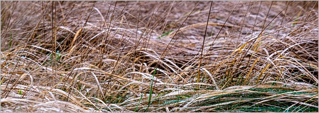  XT36344-032-20211126