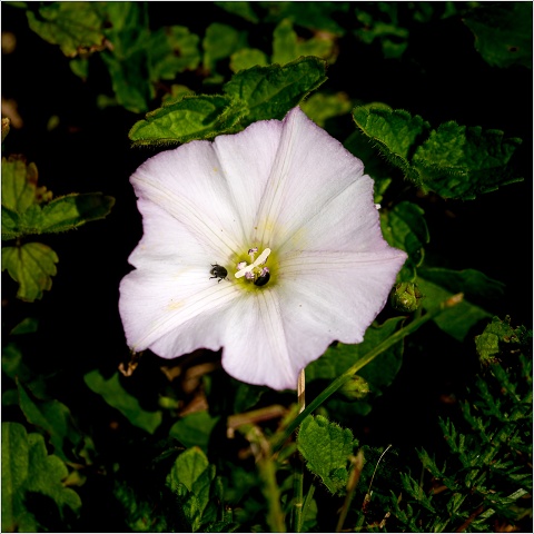  8101526-006-20220629