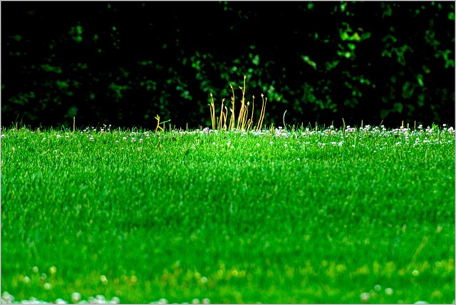  8101627-007-20220710