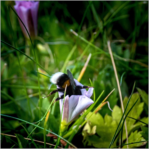  8101813-009-20220728