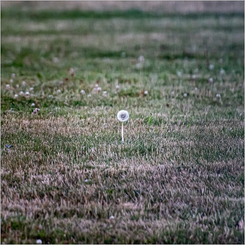  8101875-010-20220729