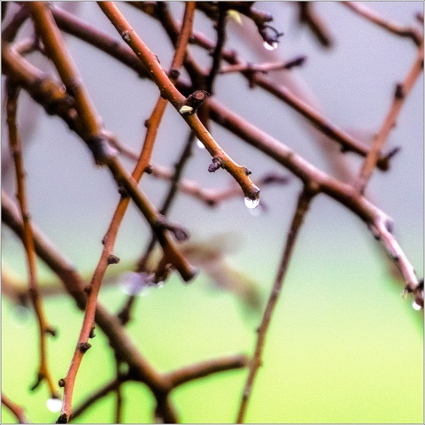  8102668-Edit-019-20221221