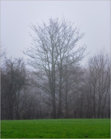  8102689-Edit-021-20221225