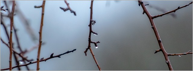  8102813-Edit-001-20230102