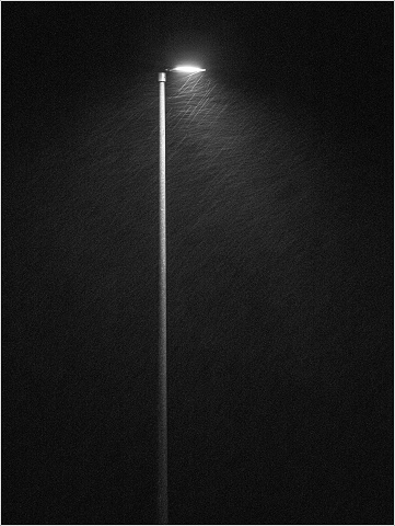  8102855-002-20230112