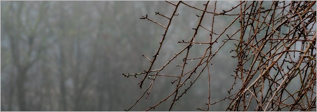  8103133-Edit-001-20230216