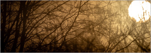  8103234-002-20230301