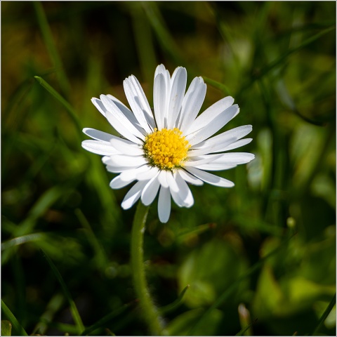  8103742-012-20230422