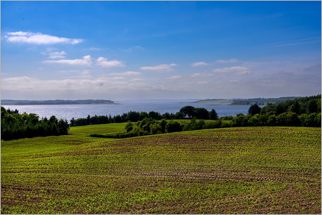  8104315-016-20230608