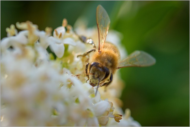  8104490-018-20230623