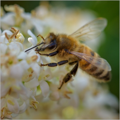  8104492-019-20230623