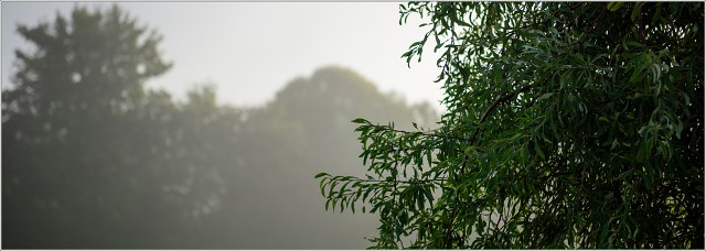  8104961-024-20230821