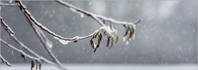  8105149-Enhanced-NR-004-20231206