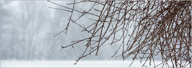  8105240-001-20240117