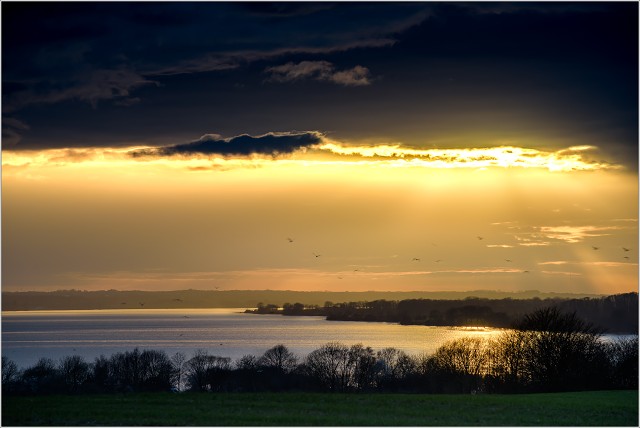  8105438-HDR-010-20240329