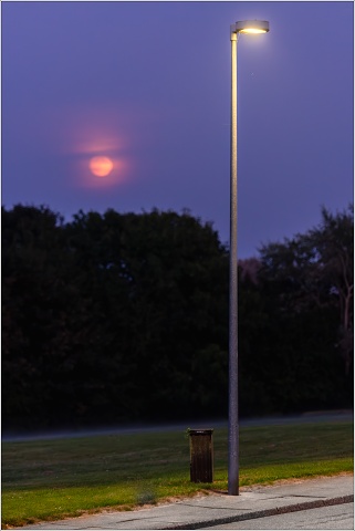  8105685-Enhanced-NR-001-20240918