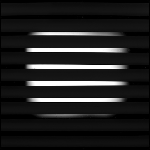  8105691-001-20241012