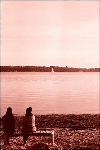  8106053-001-20241115