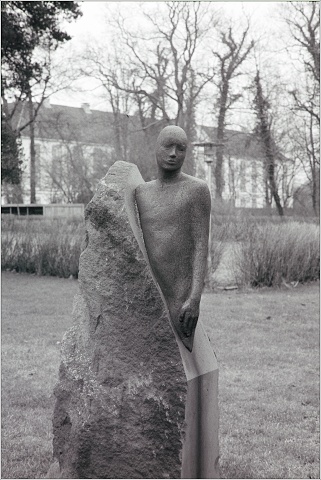  8106291-positive-002-20241226