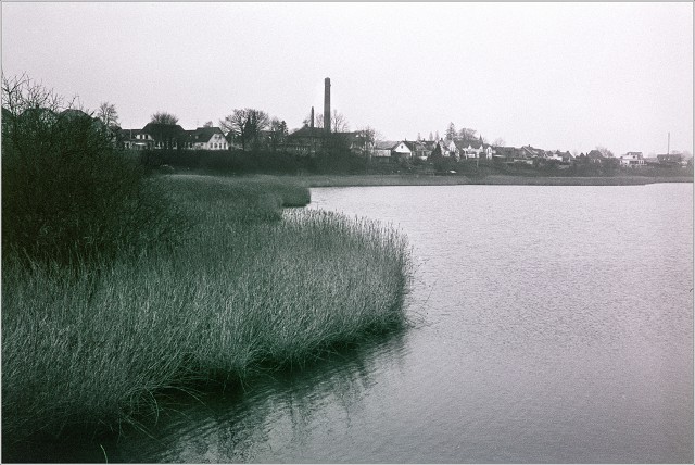  8106300-positive-002-20241226