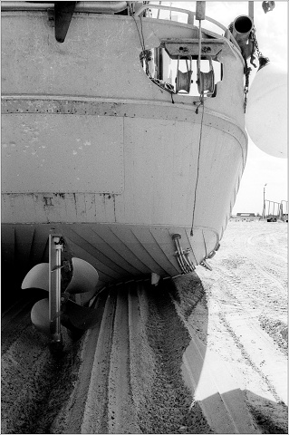 #0031 - 2025-06-16 - HP5 - 400 - XT-3 - 16-positive-001-20250617