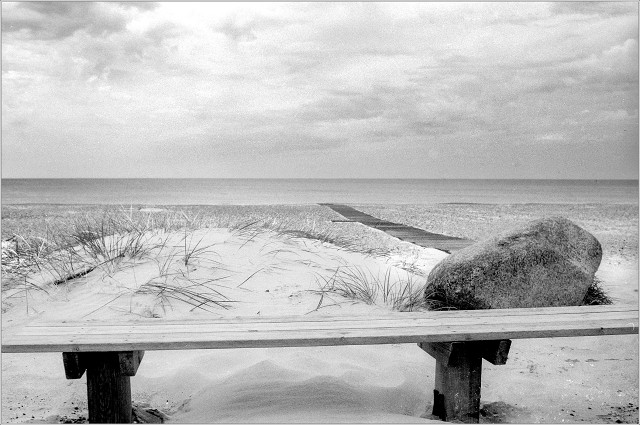 #0031 - 2025-06-16 - HP5 - 400 - XT-3 - 24-positive-001-20250617