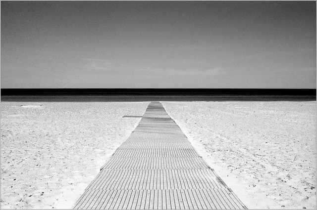 #0031 - 2025-06-16 - HP5 - 400 - XT-3 - 6-positive-001-20250617