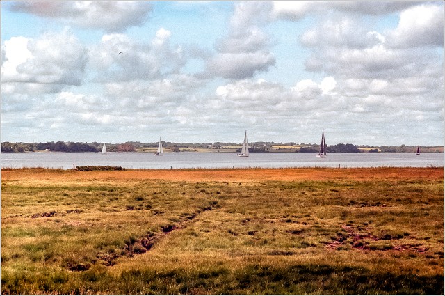 #0033 - Kodak Gold 200 - CS C41 2 Bath - 2025-06-22-0006-positive-003-20250623