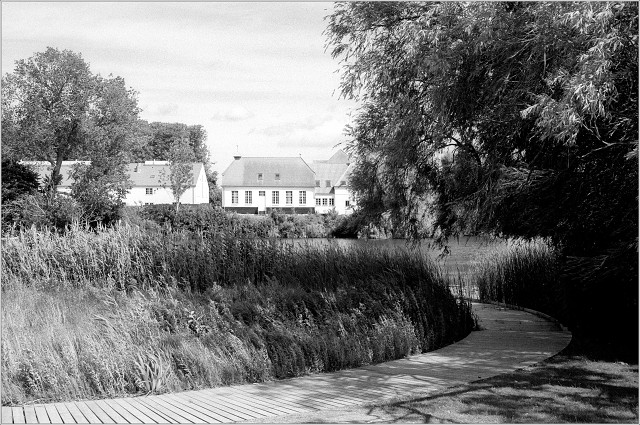 #0034 - Ilford HP5 - XT-3 1+1 - 2025-07-13-0018-positive-002-20250726