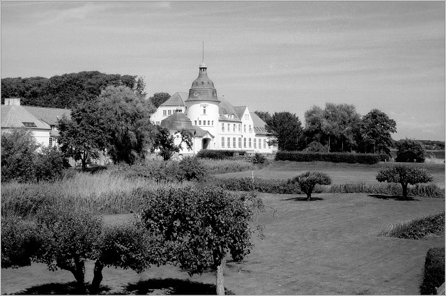 #0034 - Ilford HP5 - XT-3 1+1 - 2025-07-13-0020-positive-003-20250726