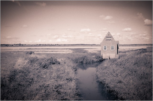 #0038 - Ilford HP5 - XT-3 Stock - 2025-09-27-0007-positive-002-20250927