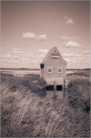 #0038 - Ilford HP5 - XT-3 Stock - 2025-09-27-0008-positive-001-20250927